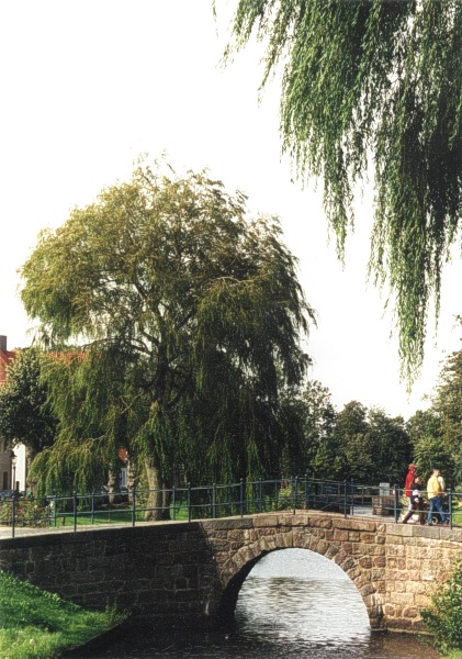 Gracht in Friedrichstadt