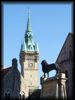 Turm des Neustadtrathauses und Burglöwe