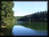 Mittlerer Grumbacher Teich bei Hahnenklee im Harz