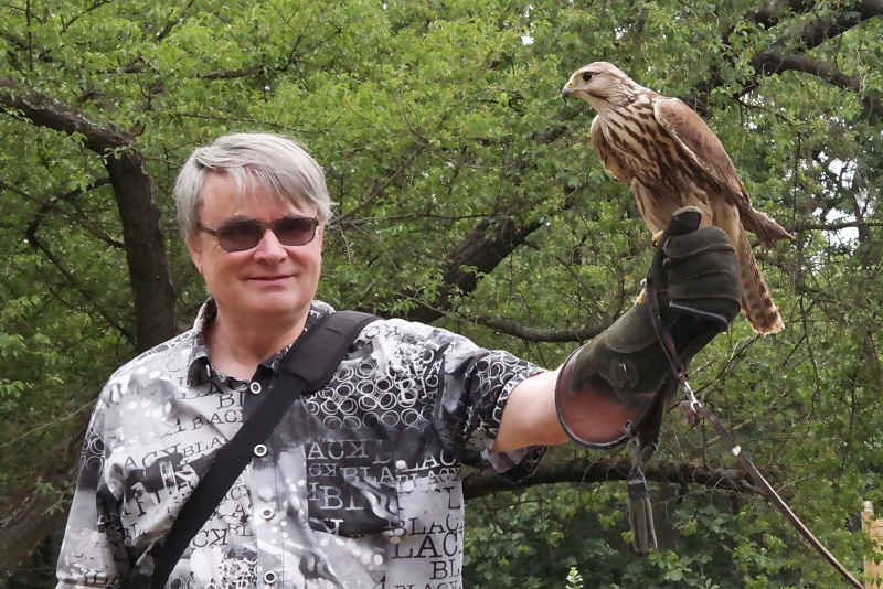 Greifvögel in der Falknerei auf Burg Regenstein