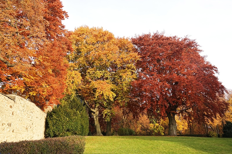 Herbstliche Impressionen aus Goslar