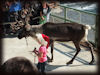 Mädchen mit Rentier im Zoo Hannover