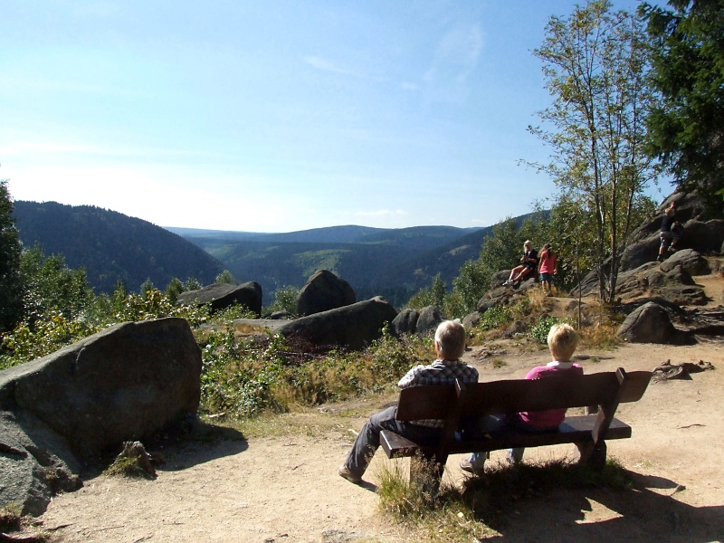 Feigenbaumsteklippen im Harz