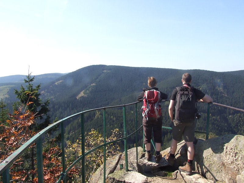 Feigenbaumklippen im Harz