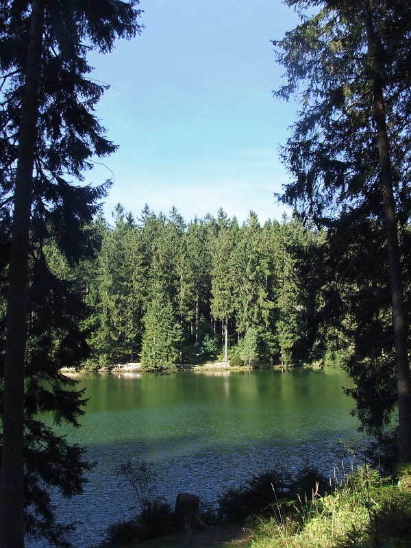 Mittlerer Grumbacher Teich bei Hahnenklee im Harz