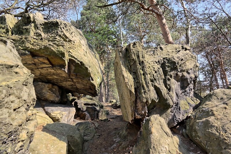 Teufelsmauer bei Blankenburg am Harz