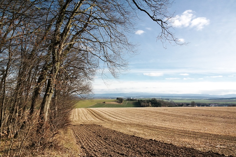 Am Rande des Oderwaldes