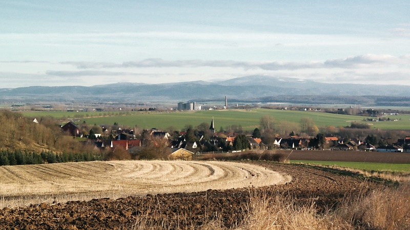 Am Rande des Oderwaldes