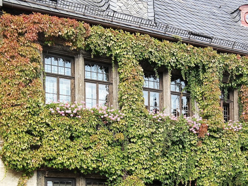 Quedlinburg am Harz