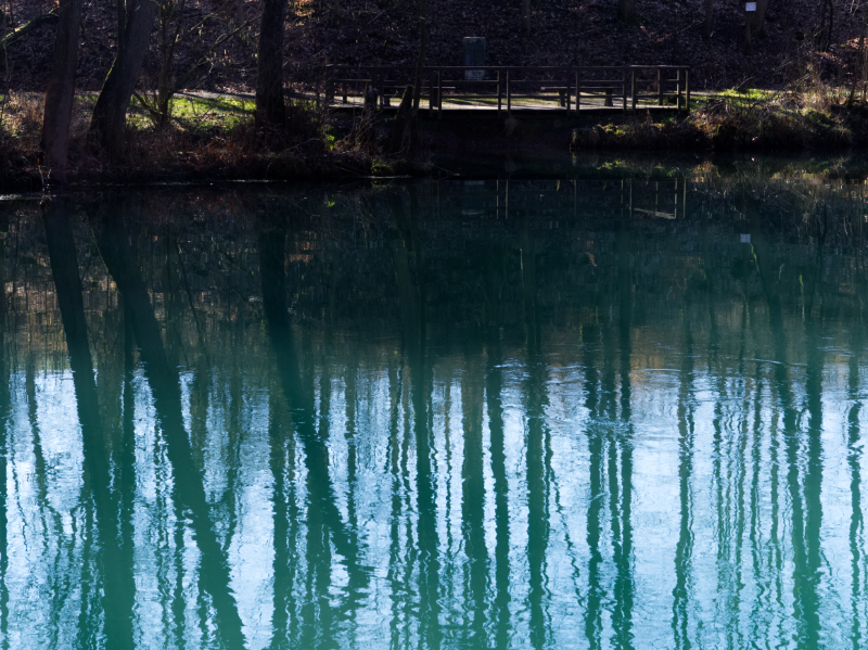 Die Rhumequelle am Südrand des Harzes