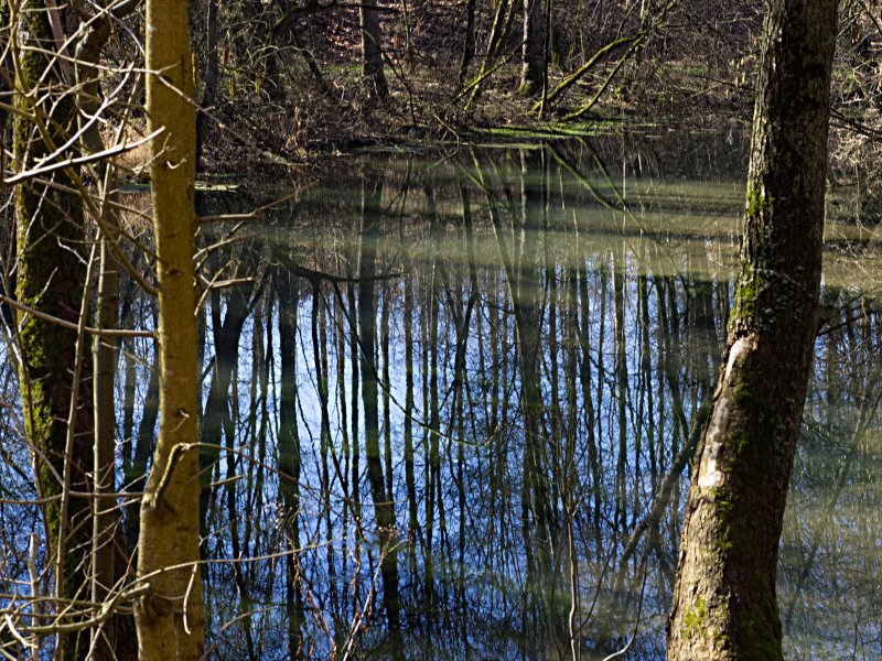 Die Rhumequelle am Südrand des Harzes