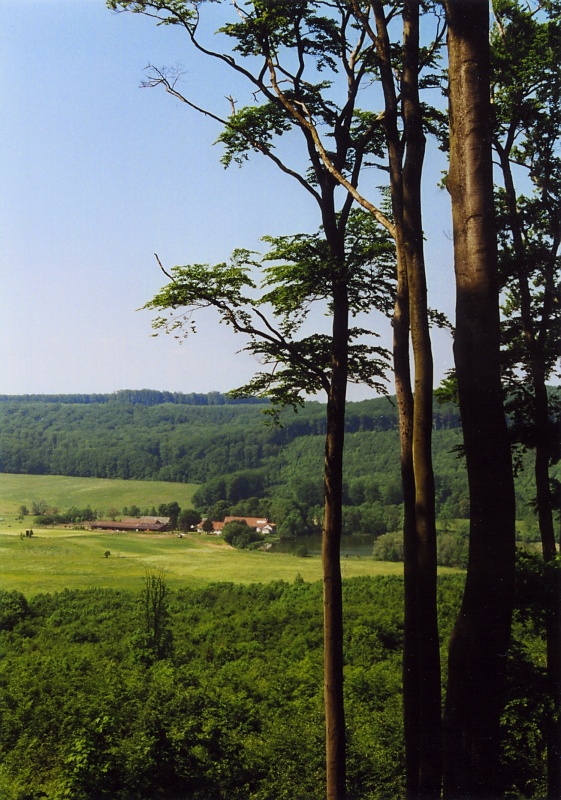 Im und um den Elm