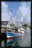 Hafen auf Hiddensee