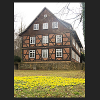 2017-03-04_Eranthis_Grauhof_07.jpg