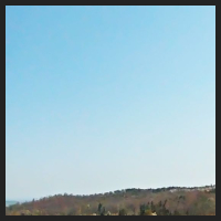 2021-04-28_Schluesselblumen_Liebenburg_t_1f_2_3.jpg