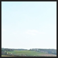 2021-04-28_Schluesselblumen_Liebenburg_t_1r_2_2.jpg