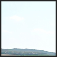 2021-04-28_Schluesselblumen_Liebenburg_t_1r_2_3.jpg