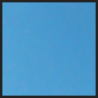 2021-04-28_Schluesselblumen_Liebenburg_t_1u_4_1.jpg