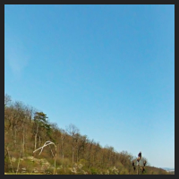 2021-04-28_Schluesselblumen_Liebenburg_t_2f_1_1.jpg