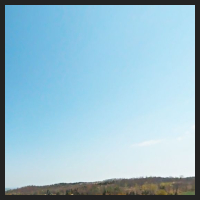 2021-04-28_Schluesselblumen_Liebenburg_t_2f_1_2.jpg