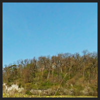 2021-04-28_Schluesselblumen_Liebenburg_t_2l_1_2.jpg