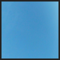 2021-04-28_Schluesselblumen_Liebenburg_t_2u_2_1.jpg