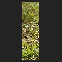r2_4.jpg
