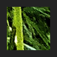 b4_4.jpg
