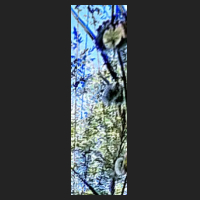 r0_4.jpg