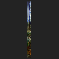b0_1.jpg