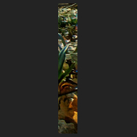 b1_2.jpg