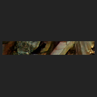 d2_0.jpg