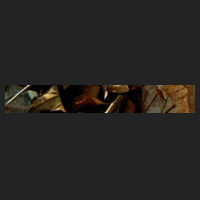 l2_0.jpg