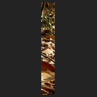 r1_2.jpg
