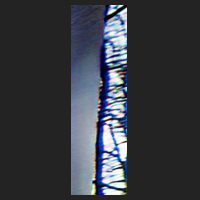 b0_4.jpg