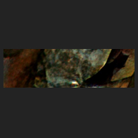 d4_0.jpg