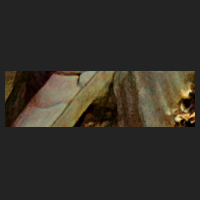 d4_1.jpg