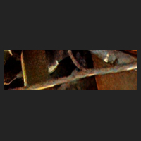 d4_2.jpg