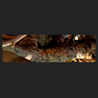 d4_3.jpg