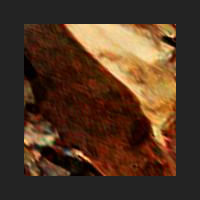 d4_4.jpg