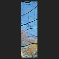 f0_4.jpg