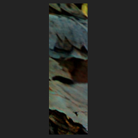 f3_4.jpg
