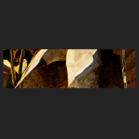 f4_0.jpg