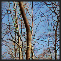 r0_2.jpg