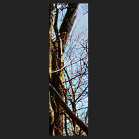 r0_4.jpg