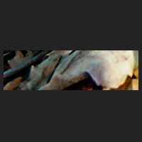 r4_0.jpg